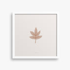 הדפס - Leaf