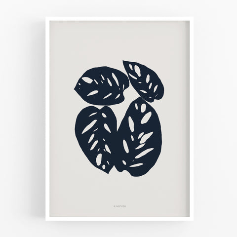 הדפס - Botanical silhouette - Monstera Obliqua Leaf