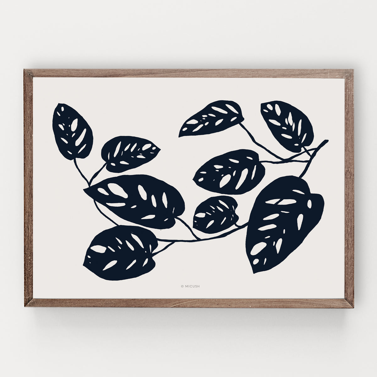 הדפס - Botanical silhouette - Monstera Obliqua