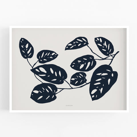הדפס - Botanical silhouette - Monstera Obliqua