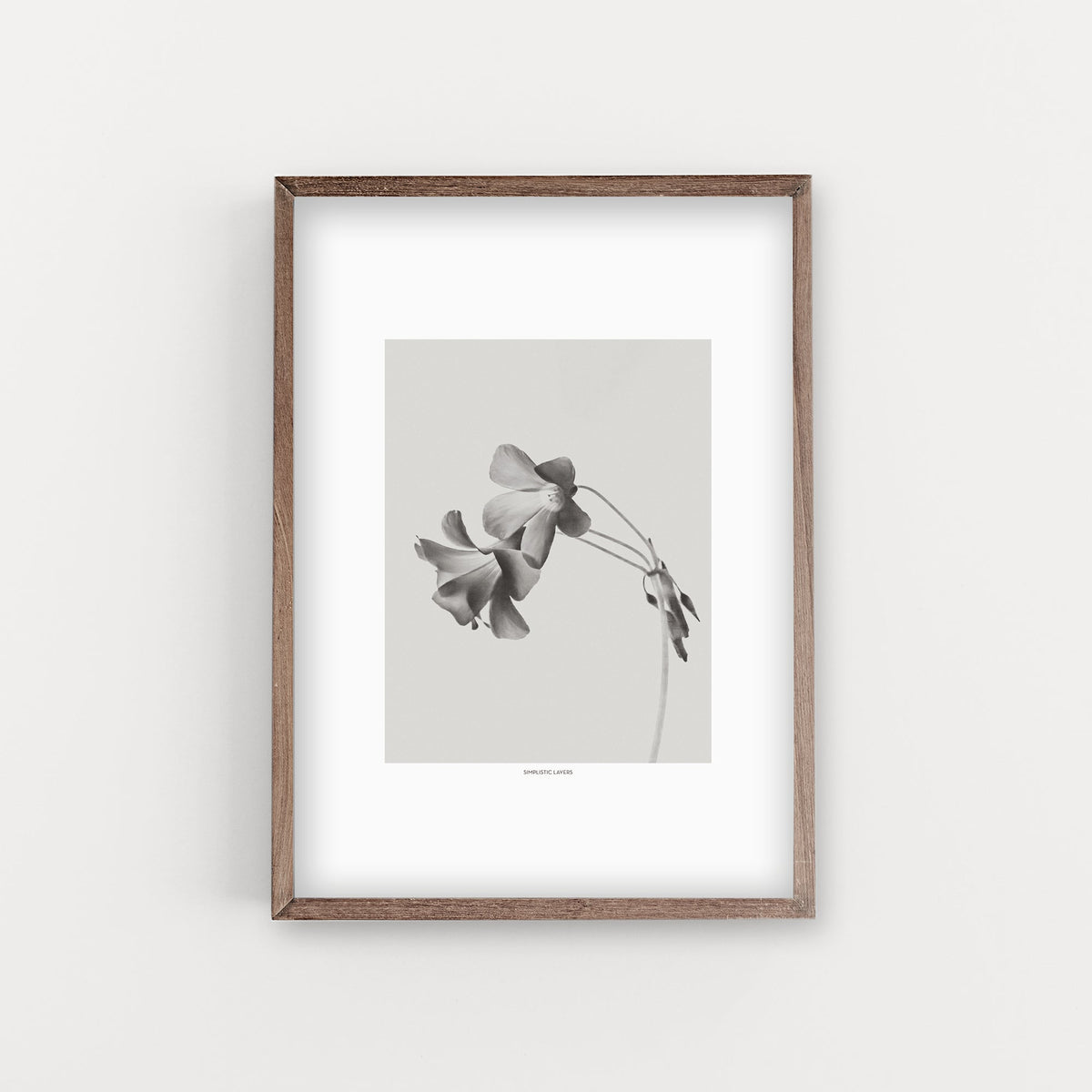 הדפס צילום - Grey Bloom Negative