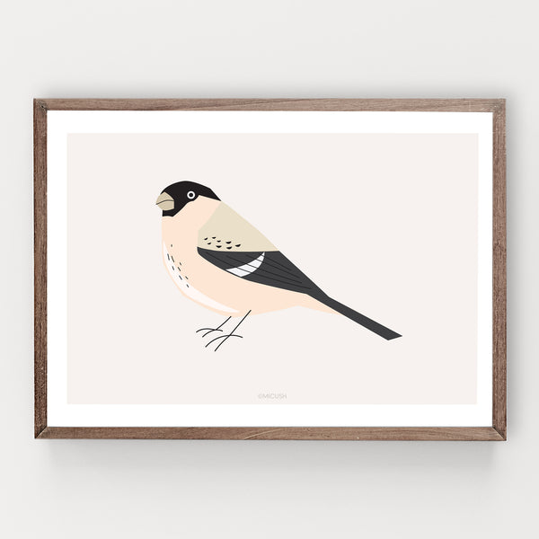 הדפס - Bird - Pyrrhula