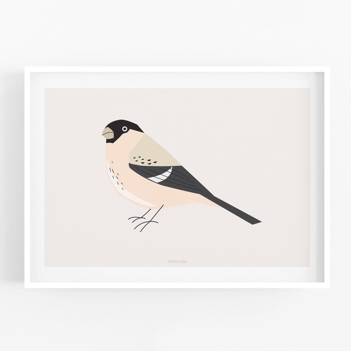 הדפס - Bird - Pyrrhula