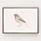 הדפס - Bird - Robin