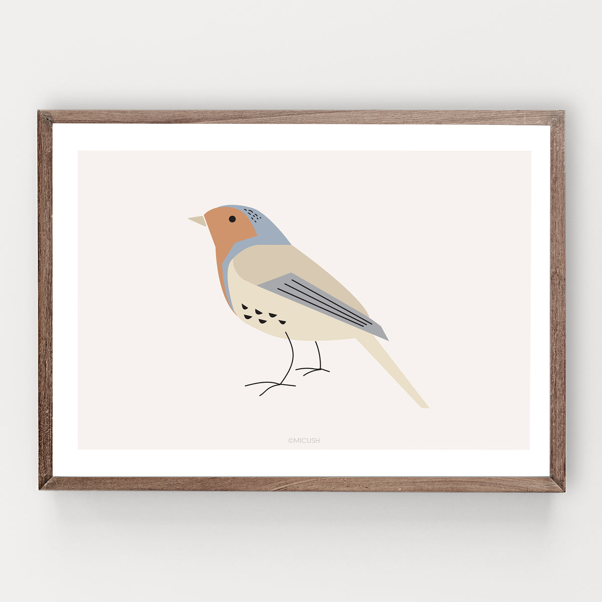 הדפס - Bird - Robin