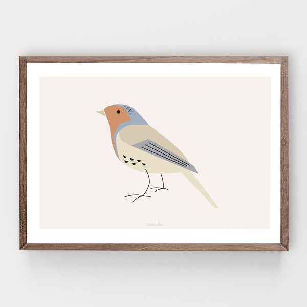 הדפס - Bird - Robin