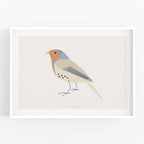 הדפס - Bird - Robin
