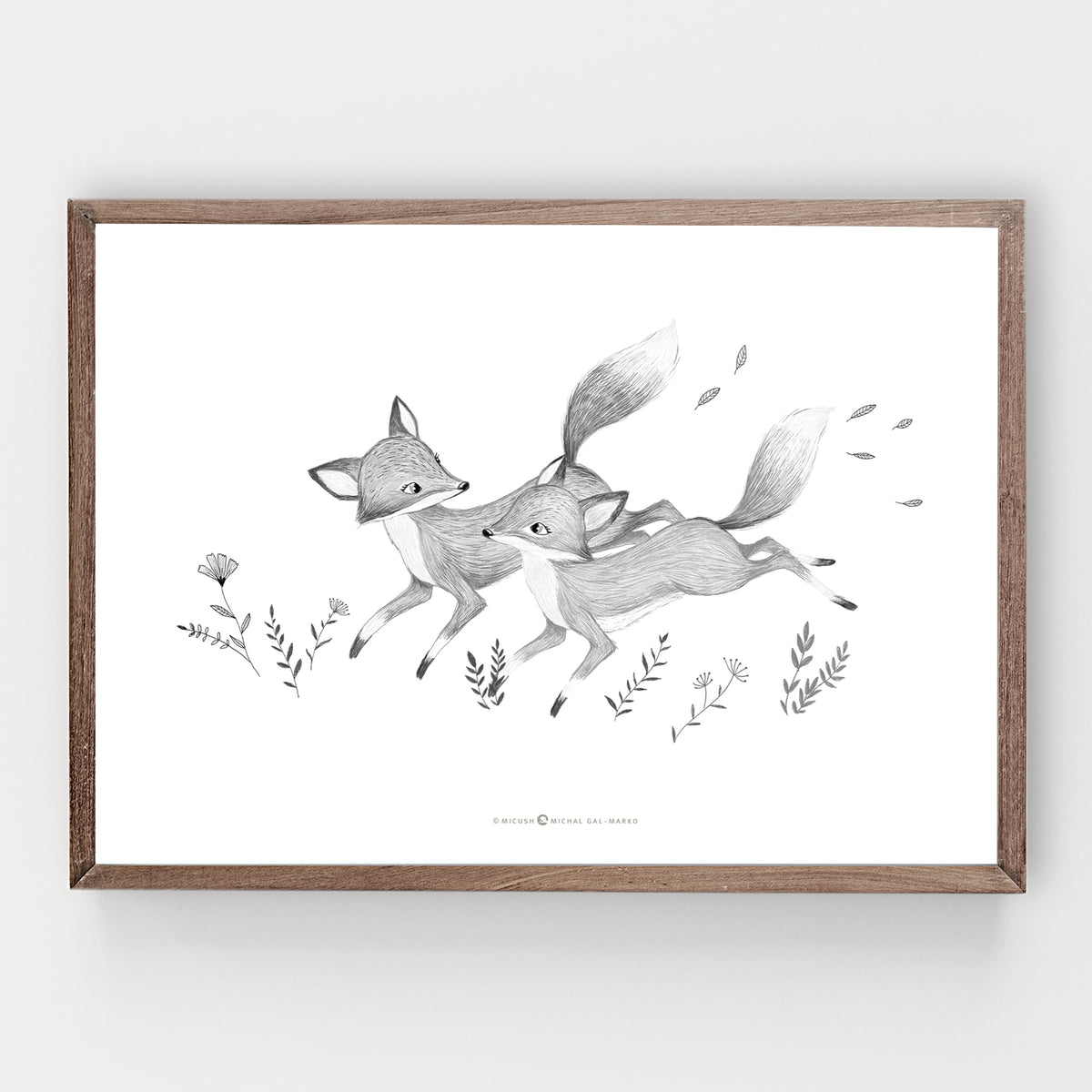 הדפס - Foxes