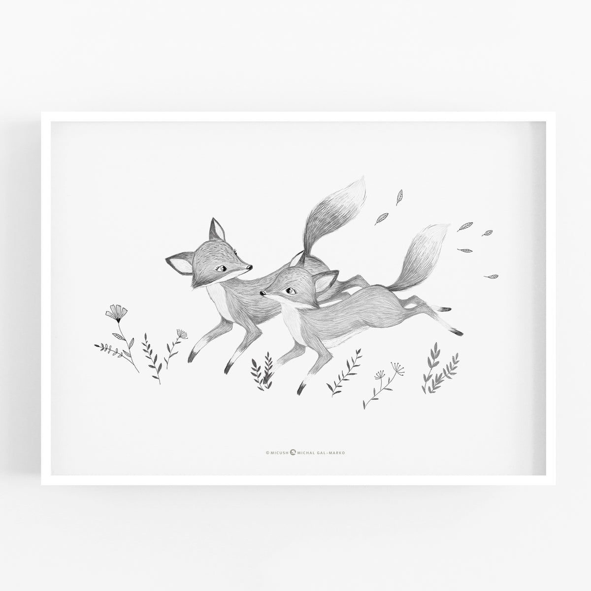 הדפס - Foxes