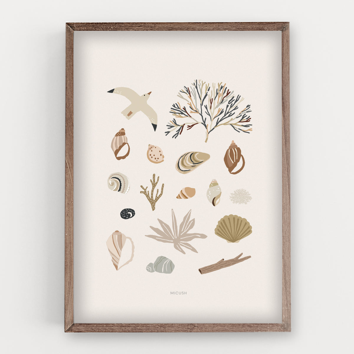 הדפס - Seashells Collection