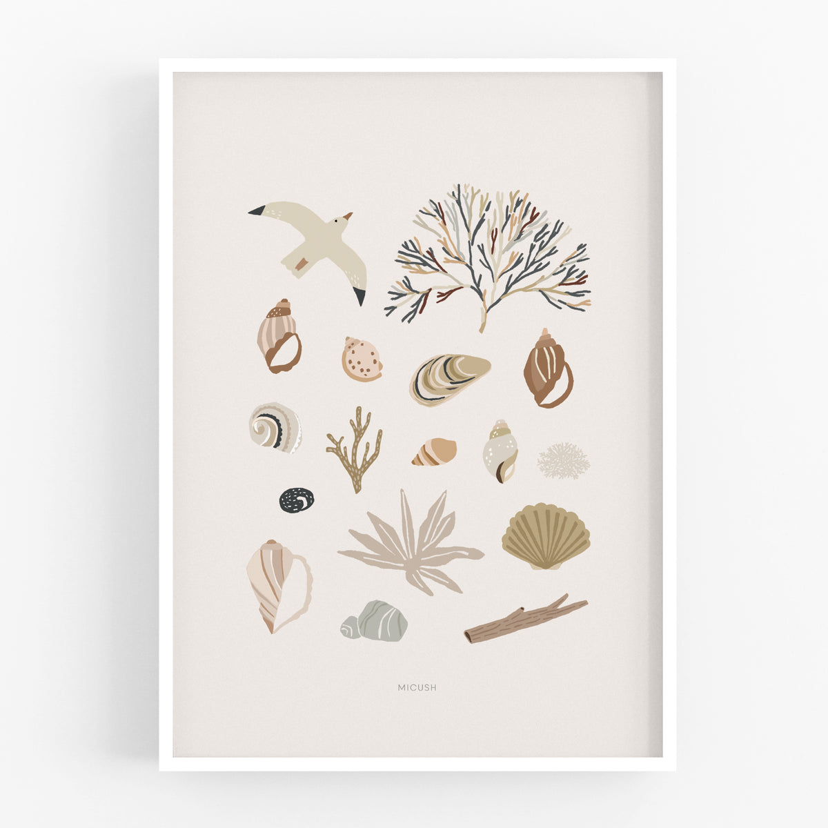 הדפס - Seashells Collection