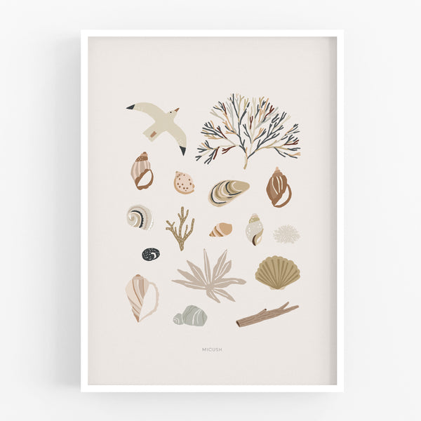 הדפס - Seashells Collection