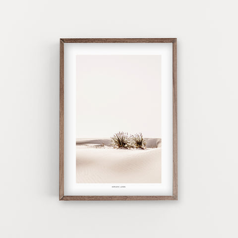 הדפס צילום - White Sand