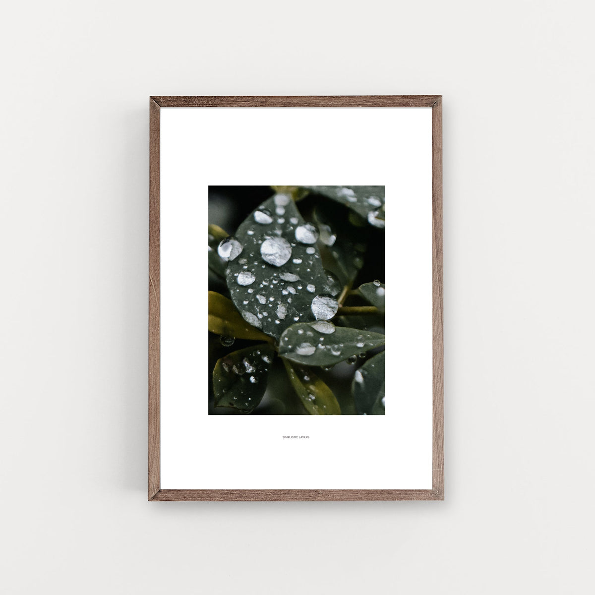 הדפס צילום - Rain Drops