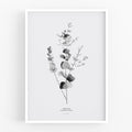 הדפס - Eucalyptus Cinerea