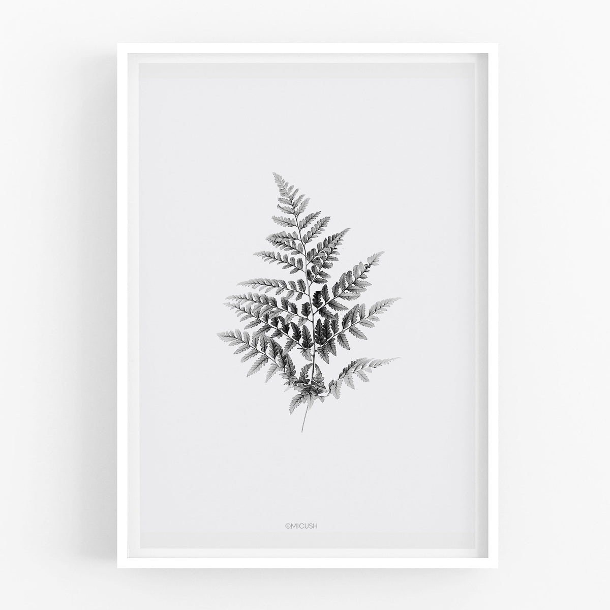 הדפס - Fern