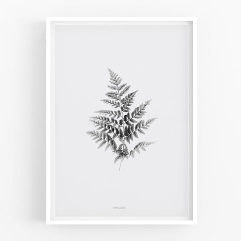 הדפס - Fern