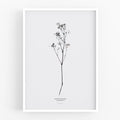 הדפס - Gypsophila No.2