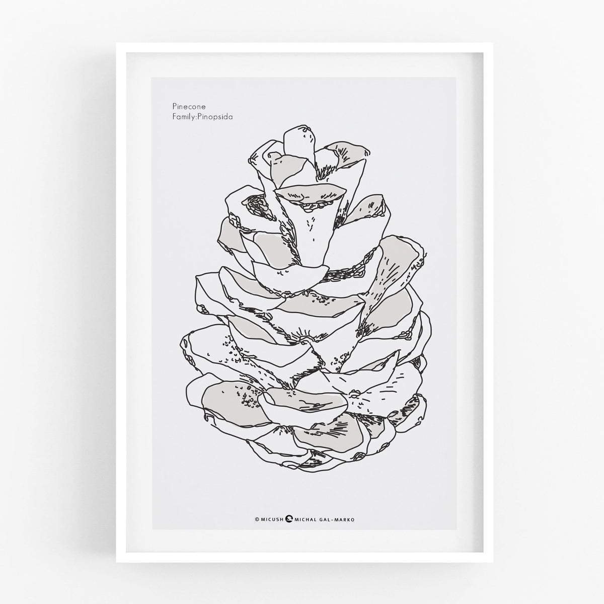 הדפס - Pine Cone