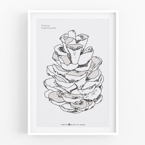 הדפס - Pine Cone