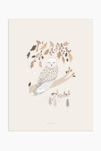הדפס - Autumn Owl