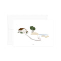 גלויה - Countryside - Ducks