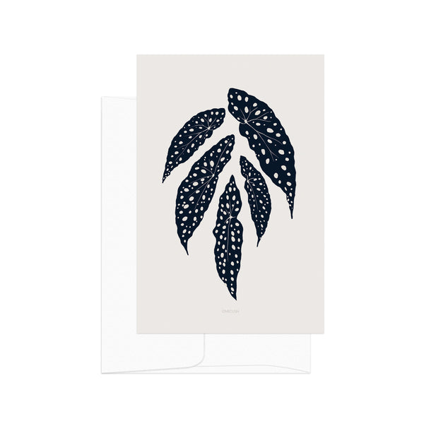 גלויה -  Begonia Maculata silhouette