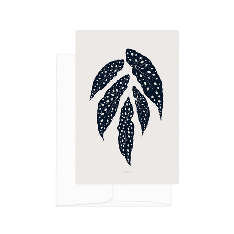 גלויה -  Begonia Maculata silhouette