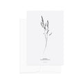 גלויה - B&W Botanical - Gramineae Corynephorus