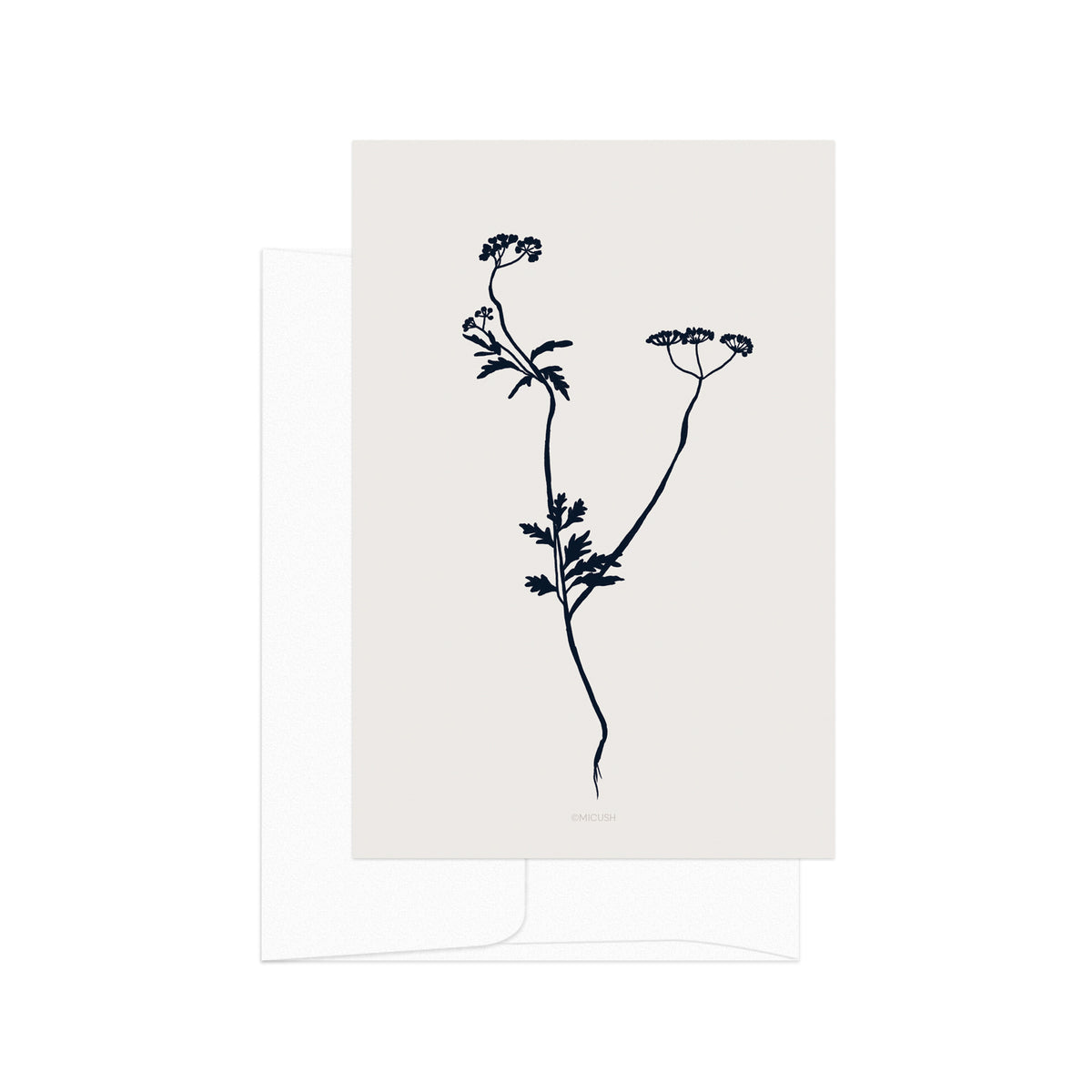 גלויה -  Torilis japonica silhouette
