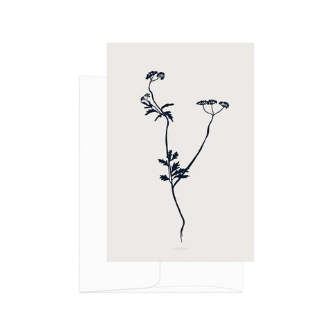 גלויה -  Torilis japonica silhouette