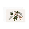 גלויה - Harvest - Figs