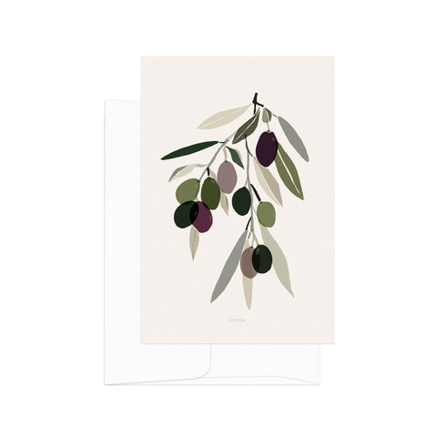 גלויה - Harvest - Olives