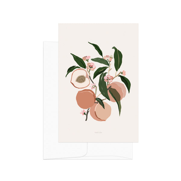 גלויה - Harvest - Peaches