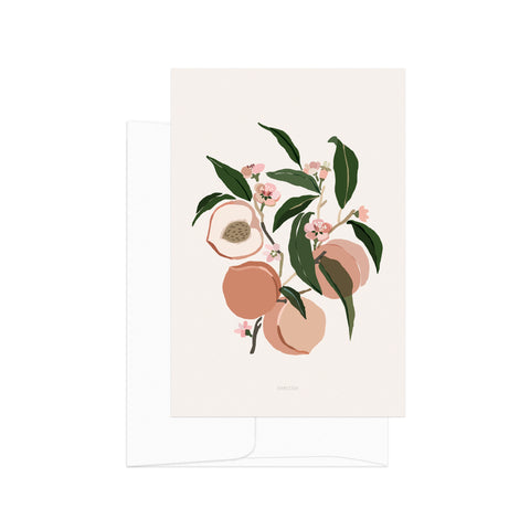 גלויה - Harvest - Peaches