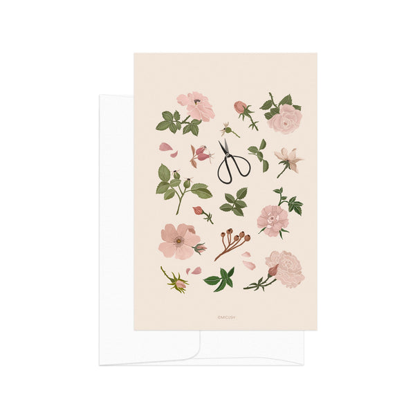 גלויה - Living Garden no.2