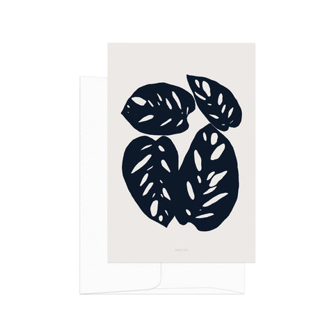 גלויה - Monstera Obliqua silhouette 2