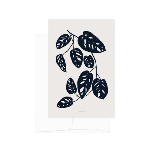 גלויה - Monstera Obliqua silhouette