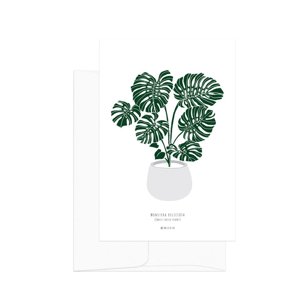 גלויה - Botanical - Monstera Deliciosa