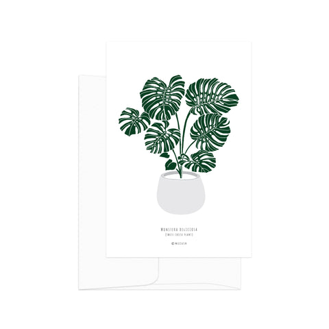 גלויה - Botanical - Monstera Deliciosa