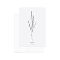 גלויה - B&W Botanical - Pennisetum Setaceum