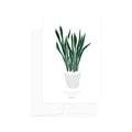 גלויה - Botanical - Sansevieria Trifasciata