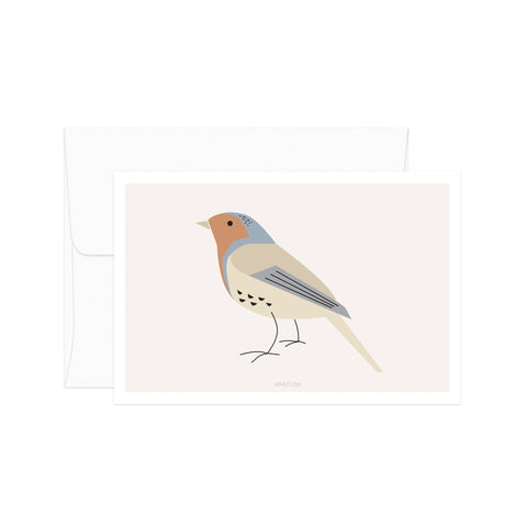 גלויה - Robin Birds - Birds no.1