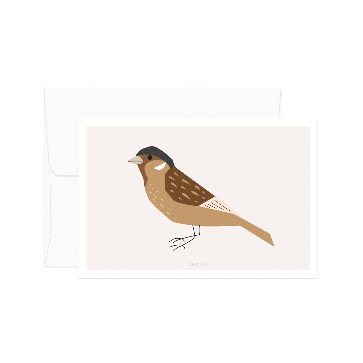 גלויה - Sparrow Bird - Birds no.4
