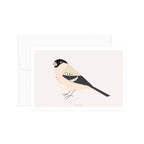 גלויה -  Pyrrhula Bird - Birds no.2