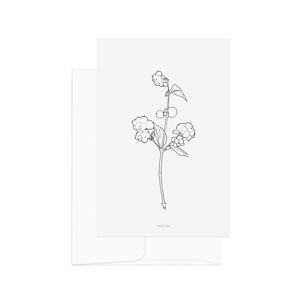 גלויה - B&W Botanical - Snowberry