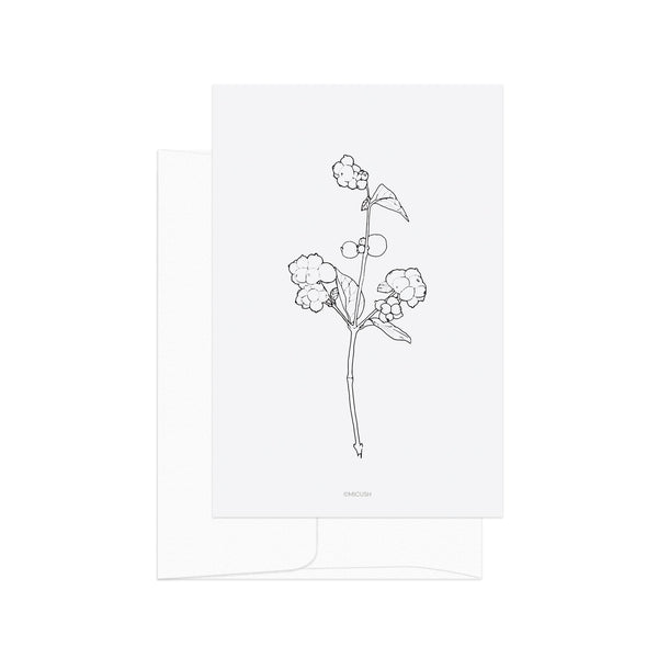גלויה - B&W Botanical - Snowberry