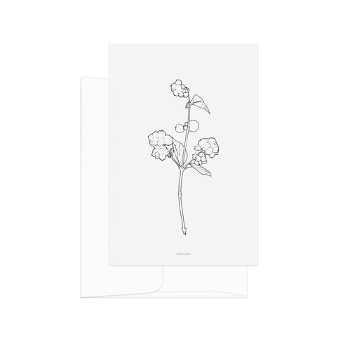 גלויה - B&W Botanical - Snowberry