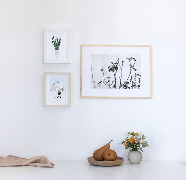 הדפס צילום - Fig Tree