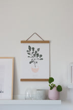 הדפס - Ficus lyrata